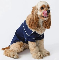 Both Tails Dog Pajamas, Blue, Small