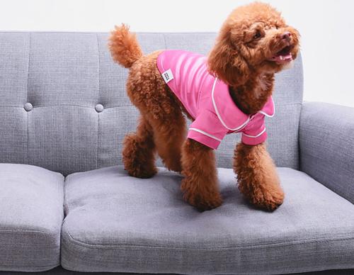 Show full view: Both Tails Dog Pajamas, Pink, X-Small slide 3 of 8