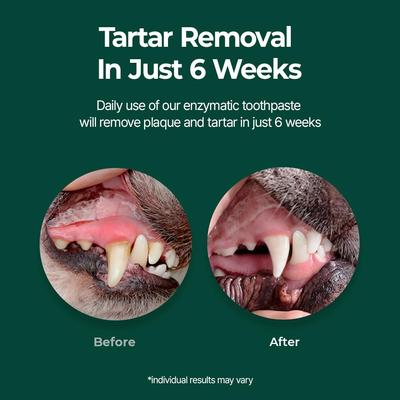 Show full view: PetO'Dent Biome Dog Toothpaste, 2.37-fl oz tube slide 4 of 10