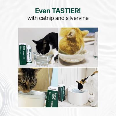 Show full view: PetO'Dent Liquid Cat Dental Water Additive, 8.45-fl oz bottle slide 4 of 9