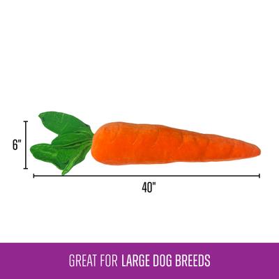 Show full view: Gnawsome Mega Carrot Plush Dog Toy slide 3 of 4