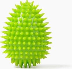 Gnawsome Spiky Egg Dog Chew Toy, Green, Small
