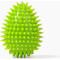 Show in main carousel: Gnawsome Spiky Egg Dog Chew Toy, Green, Small slide 1 of 4
