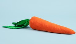 Gnawsome Mega Carrot Plush Dog Toy