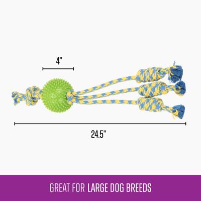Show full view: Gnawsome Ball & Rope Triple Rope Dog Toy, Green, Blue & Yellow slide 3 of 3