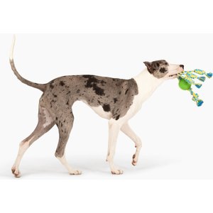 Gnawsome Ball & Rope Triple Rope Dog Toy, Green, Blue & Yellow