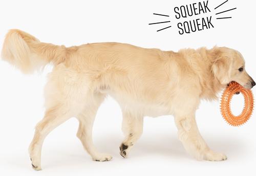 Show full view: Gnawsome Spiky Ring Dog Chew Toy, Orange, Mega slide 4 of 5