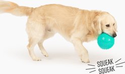 Gnawsome Spiky Ball Dog Chew Toy, Teal slide 2 of 4
