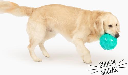 Show full view: Gnawsome Spiky Ball Dog Chew Toy, Teal slide 4 of 4