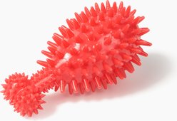 Gnawsome Squeaker Drumstick Dog Chew Toy, Red