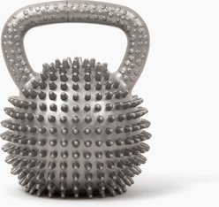 Gnawsome Spiky Kettlebell Dog Chew Toy, Silver, Medium