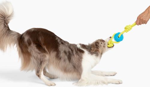 Show full view: Gnawsome Ball & Rope Tug Dog Toy, Blue & Yellow, Medium slide 4 of 4