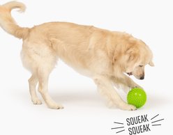 Gnawsome Spiky Football Dog Chew Toy, Green slide 2 of 3