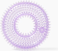 Gnawsome Spiky Ring Dog Chew Toy, Purple, Small