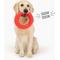 Show in main carousel: Gnawsome Spiky Ring Dog Chew Toy, Red, Mega slide 4 of 5