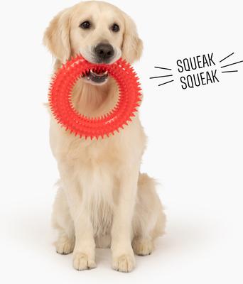 Show full view: Gnawsome Spiky Ring Dog Chew Toy, Red, Mega slide 4 of 5