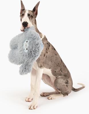 Show full view: Gnawsome Mega Monster Plush Dog Toy slide 3 of 5