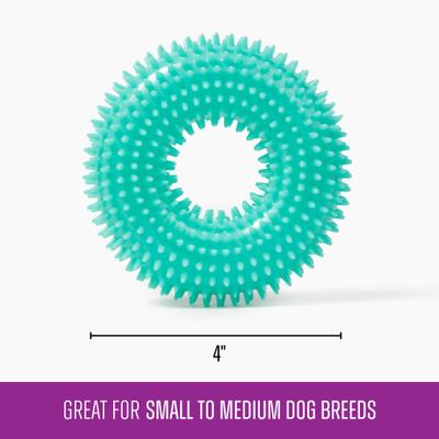 Show full view: Gnawsome Spiky Ring Dog Chew Toy, Teal, Small slide 3 of 4