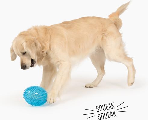 Show full view: Gnawsome Spiky Football Dog Chew Toy, Blue slide 2 of 3