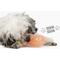 Show in main carousel: Gnawsome Squeaker Drumstick Dog Chew Toy, Orange slide 3 of 4