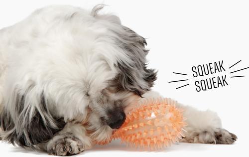 Show full view: Gnawsome Squeaker Drumstick Dog Chew Toy, Orange slide 3 of 4