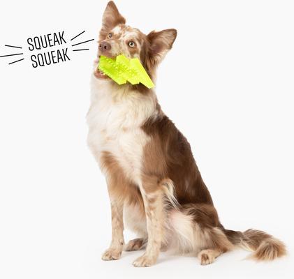 Show full view: Gnawsome Squeaker Lightning Bolt Dog Chew Toy, Neon Green slide 5 of 5