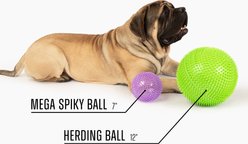 Gnawsome Herding Ball Dog Toy slide 2 of 5
