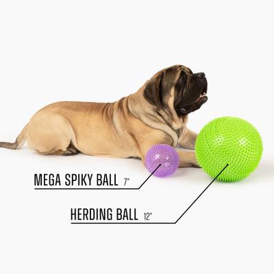 Show full view: Gnawsome Herding Ball Dog Toy slide 4 of 5