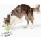 Show in main carousel: Gnawsome Spiky Kettlebell Dog Chew Toy, Green, Medium slide 4 of 4