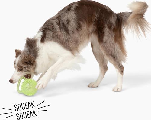 Show full view: Gnawsome Spiky Kettlebell Dog Chew Toy, Green, Medium slide 4 of 4