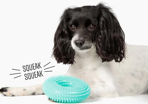 Show full view: Gnawsome Spiky Ring Dog Chew Toy, Teal, Small slide 2 of 4