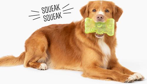 Show full view: Gnawsome Squeaker Gummy Bear Dog Chew Toy, Green, Large slide 4 of 5