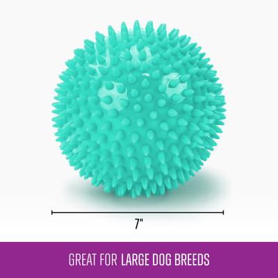 Show full view: Gnawsome Spiky Ball Dog Chew Toy, Teal slide 3 of 4