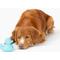 Show in main carousel: Gnawsome Squeaker Duck Dog Chew Toy, Light Blue slide 2 of 4