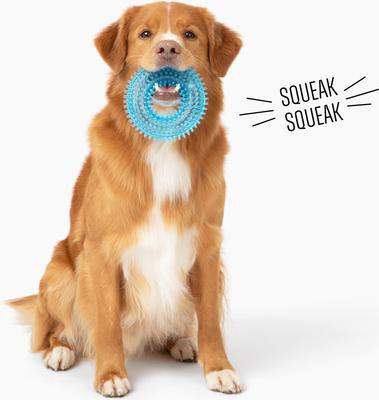 Show full view: Gnawsome Spiky Ring Dog Chew Toy, Blue, Medium slide 2 of 4