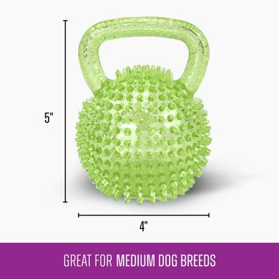 Show full view: Gnawsome Spiky Kettlebell Dog Chew Toy, Green, Medium slide 3 of 4