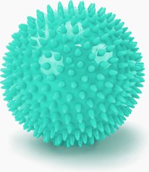 Gnawsome Spiky Ball Dog Chew Toy, Teal