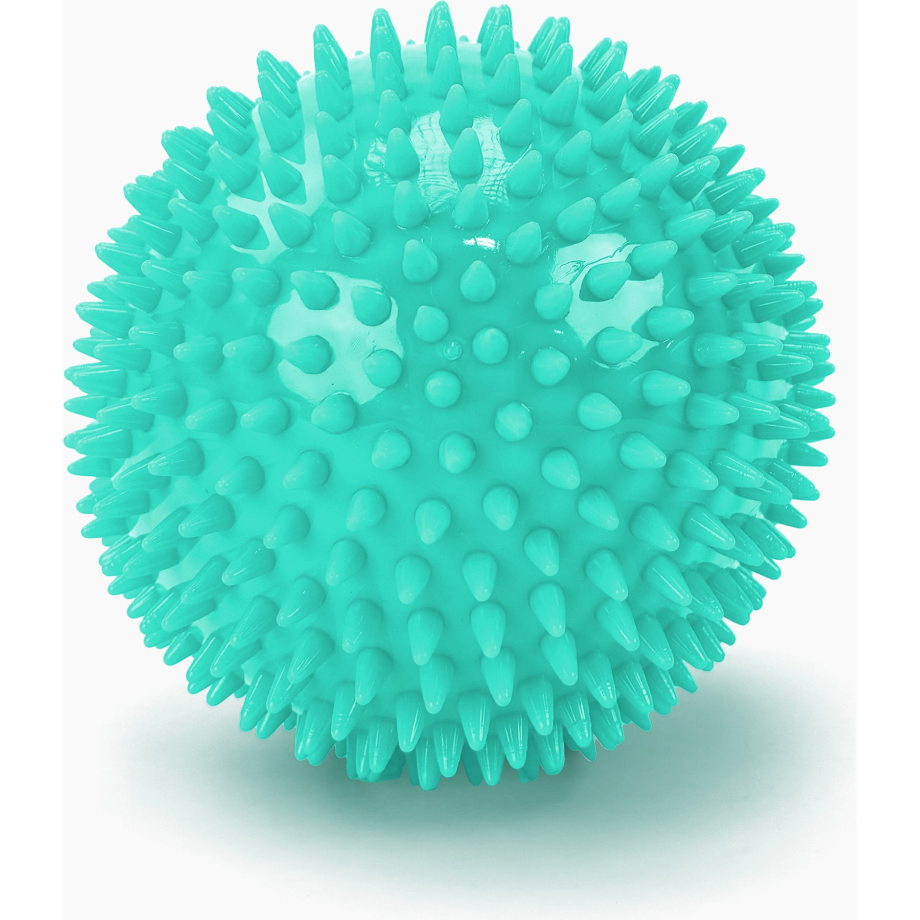 Gnawsome Spiky Ball Dog Chew Toy, Teal
