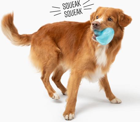 Show full view: Gnawsome Squeaker Duck Dog Chew Toy, Light Blue slide 4 of 4