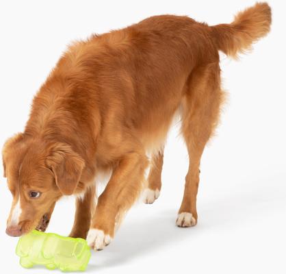 Show full view: Gnawsome Squeaker Gummy Bear Dog Chew Toy, Green, Large slide 2 of 5