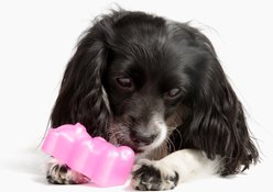 Gnawsome Squeaker Gummy Bear Dog Chew Toy, Pink, Small slide 2 of 4