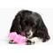 Show in main carousel: Gnawsome Squeaker Gummy Bear Dog Chew Toy, Pink, Small slide 2 of 5