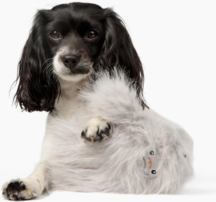 Show full view: Gnawsome Mini Monster Plush Dog Toy slide 3 of 4