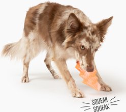 Gnawsome Squeaker Lightning Bolt Dog Chew Toy, Neon Orange slide 2 of 4