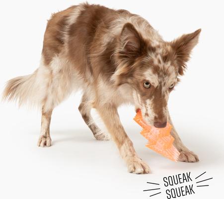 Show full view: Gnawsome Squeaker Lightning Bolt Dog Chew Toy, Neon Orange slide 4 of 4