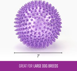 Gnawsome Spiky Ball Dog Chew Toy, Purple slide 2 of 3
