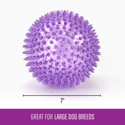 Show full view: Gnawsome Spiky Ball Dog Chew Toy, Purple slide 3 of 3