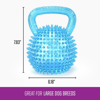 Show full view: Gnawsome Spiky Kettlebell Dog Chew Toy, Blue, Mega slide 3 of 4