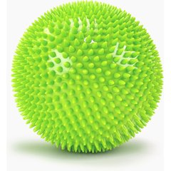 Gnawsome Herding Ball Dog Toy