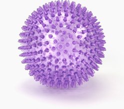 Gnawsome Spiky Ball Dog Chew Toy, Purple